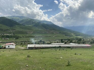 мухтасар китеби в Кыргызстан | КЕҢСЕ БУЮМДАРЫ: 2000 кв. м, Иштеп жаткан