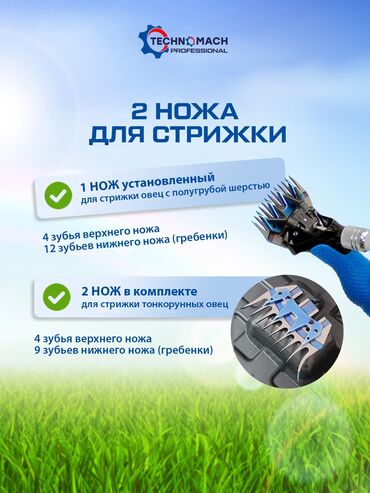 Товары и оборудование для с/х животных: Стрижка овец от компании «техномаш» профессиональный аппарат ( — 5