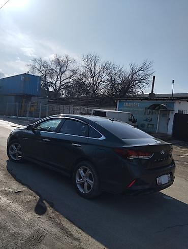Hyundai: Hyundai Sonata: 2017 г., 2 л, Автомат, Бензин, Седан — 4