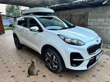 киа спорттеж: Kia Sportage: 2018 г., 2 л, Автомат, Дизель, Кроссовер