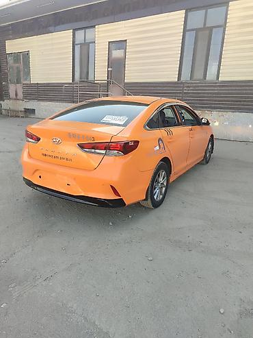 b y d: Hyundai Sonata: 2020 г., 2 л, Автомат, Газ, Седан — 1