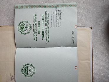 проститктки бишкека: 580 соток, Для бизнеса — 2