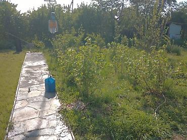 Куплю дом: Дача на продаже - дачный дом с мансардой . Капитальные утеплённые — 6