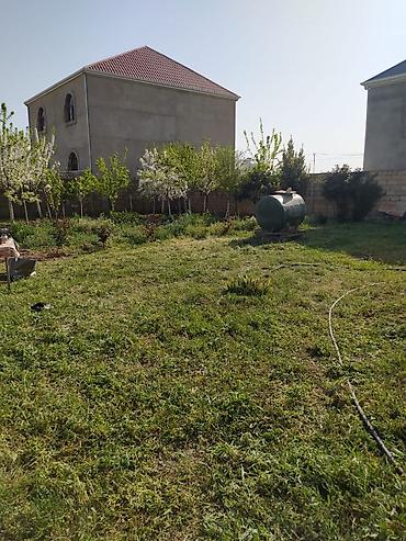 2 sot nece kv metrdir: 7 sot, Kənd təsərrüfatı, Kupça (Çıxarış) — 1