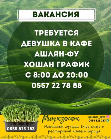 мини эксковатор бишкек: Требуется девушка в кафе ашлянфу хошан график с 8 до 8 т