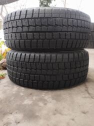 на матиз шины: Шиналар 225 / 55 / R 16, Кыш, Колдонулган, Жуп, Жеңил унаалар, Жапония, Dunlop