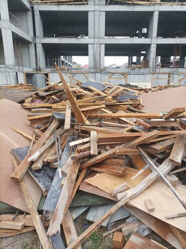 набор инструментов для дома: Хвоя at lalafo.kg набор инструментов для дома: Хвоя