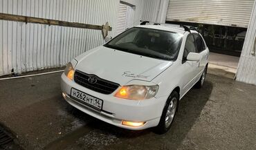 runx alex: Toyota Corolla: 2002 г., 1.5 л, Автомат, Газ, Седан
