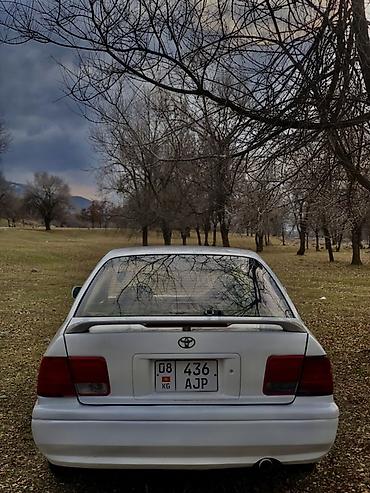 Toyota: Toyota Vista: 1996 г., 1.8 л, Автомат, Бензин, Седан — 26