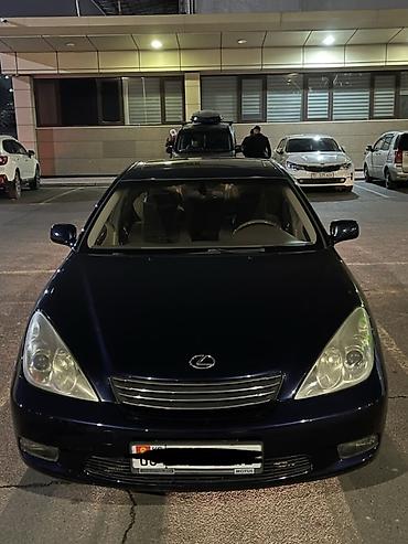 Lexus: Lexus ES: 2003 г., 3 л, Автомат, Бензин, Седан — 1