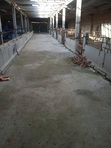 Продажа участков: 194 соток, Для бизнеса, Красная книга — 13