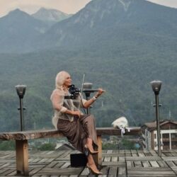 садовые розы: Организация мероприятий | Музыканты