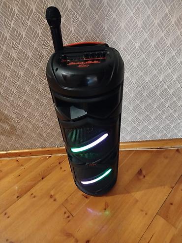dynacord pm 1000 1: Portativ Hi‑Fi karaoke akustik sistemi - Güclü səs verən böyük — 6
