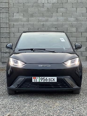 BYD: BYD Seagull: 2024 г., Автомат, Электромобиль, Хэтчбэк — 1