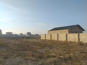 bine torpag: Suraxanı rayonu, Yeni Suraxanıda (keçmiş Binə ticarət mərkəzi — 6