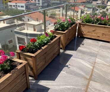 Bitkilər üçün dibçəklər: Restoranlar üçün dibçək qiymətlər fərqlidir Qiymət şərti qiymətdir — 7