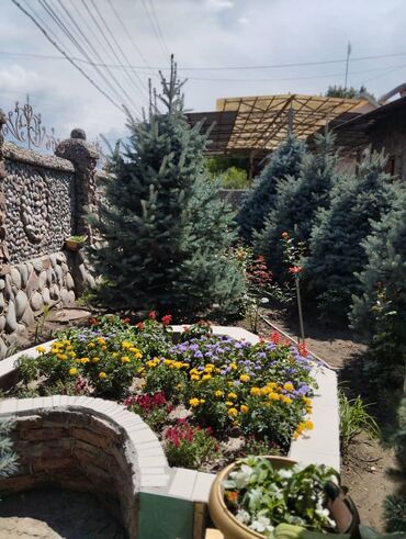 дома варанцовке: Үй, 700 кв. м, 8 бөлмө, Менчик ээси, Дизайнердик оңдоо