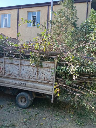 Спил деревьев, заготовка дров: Услуга по вывозу древесных отходов, таких как ветки, сучья и листья