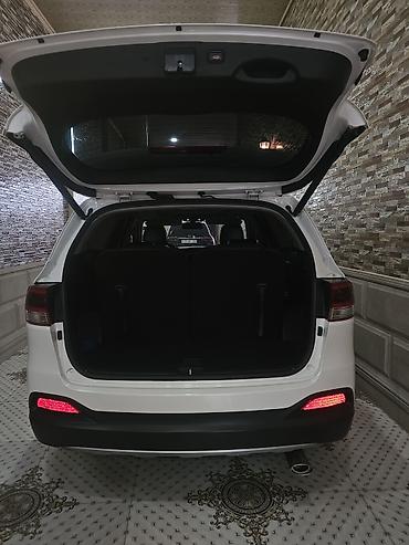 Kia: Kia Sorento: 2 l | 2017 il — 10