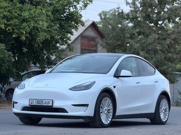 электромобиль neta: Электрический кроссовер Tesla Model Y в белом цвете. Автомобиль