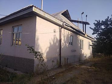 Дома: Жер Уй узаак моонотко баардык шарттары менен ижарага берилет. Баасы — 2