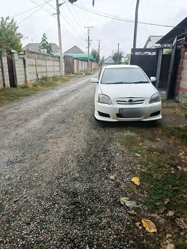 бокс на крышу авто купить в бишкеке: Toyota Allex: 2005 г., 1.5 л, Автомат, Бензин, Хэтчбэк