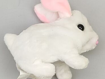 Mascots: Mascot Rabbit, condition - Good