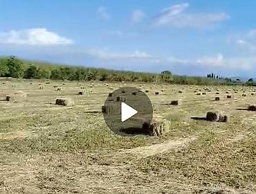 mingecevirde torpaq satisi: 350 sot, Kənd təsərrüfatı, Mülkiyyətçi, Kupça (Çıxarış) — 10