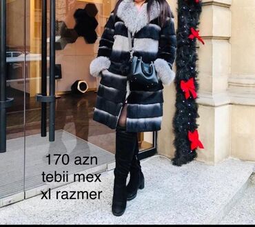 kurkler: Kürklər