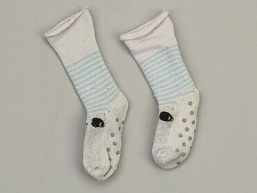 skarpety w czarne spaniele: Socks, 16–18, condition - Good