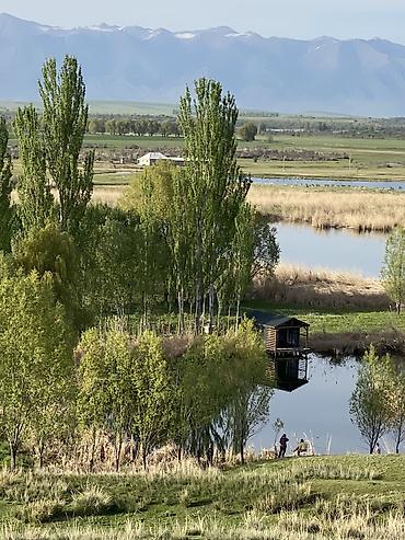 Продажа коттеджей и домов: Продается ферма в Джети-Огузском районе, Иссык-Кульская область — 25