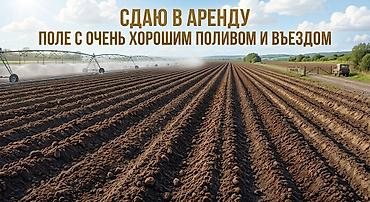 контейнер ош: 4 соток Айыл чарба үчүн, Суу — 1