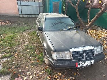 Mercedes-Benz: Mercedes-Benz W124: 1988 г., 2.3 л, Механика, Бензин, Универсал — 4