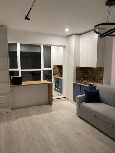 Продажа квартир: 1 комната, 27 м², Элитка, 7 этаж, Евроремонт