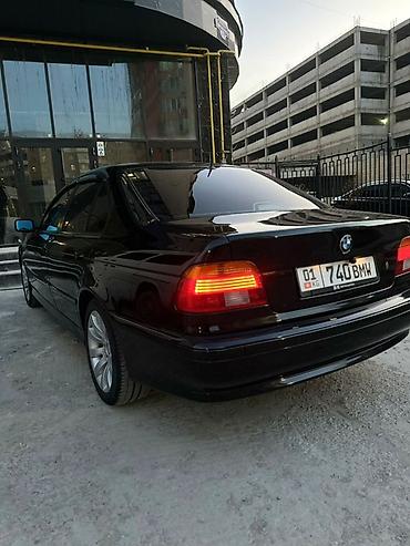 BMW: BMW 5 series: 2002 г., Механика, Бензин, Седан — 4