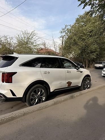 лобовое стекло киа соренто 2021: Kia Sorento: 2020 г., 2.2 л, Дизель, Кроссовер — 5