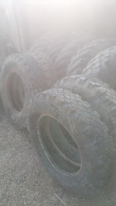 disk tekər: Gaz 66. 53 tekerleri razilaşma yoluiylə. 0775987900 — 2