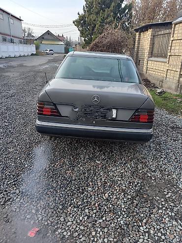 x class: Mercedes-Benz W124: 1991 г., 3 л, Автомат, Дизель, Седан — 2