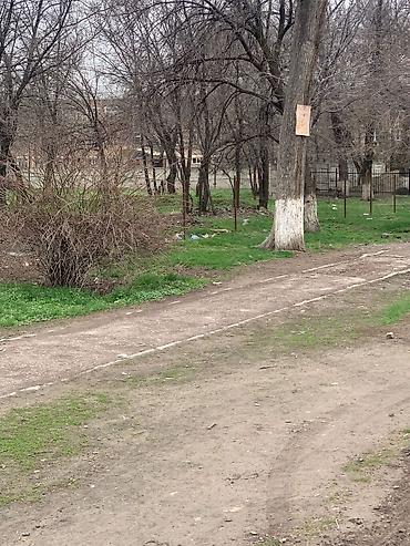 Продажа участков: 90 соток, Для бизнеса, Красная книга — 5