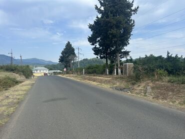 lənd kuruzer ucun led işıq lupası hardan tapmaq olar: Mülkiyyətçi, Kupça (Çıxarış)
