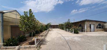 Bağ evlərinin satışı: Bakı, Türkan qəs., 1500 kv. m, 7 otaqlı, Hovuzlu, Qaz, İşıq, Su — 9