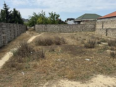 samaxida torpaq sahesi satilir: 4 sot, Tikinti, Mülkiyyətçi, Kupça (Çıxarış) — 4