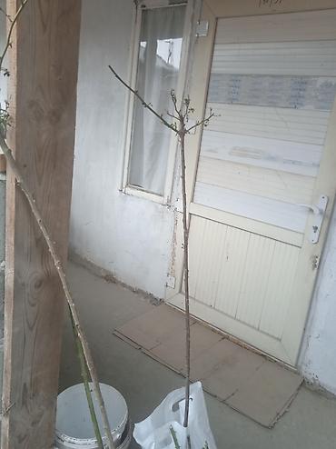 construction: Кладка стен и перегородок из блока/кирпича - Профессиональная кладка — 3