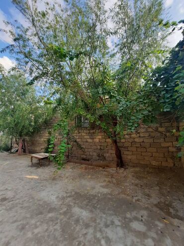 Uzunmüddətli kirayə evlər: 120 kv. m, 3 otaqlı, Kombi, İnternet, İşıq -da lalafo.az — 9 Uzunmüddətli kirayə evlər: 120 kv. m, 3 otaqlı, Kombi, İnternet, İşıq — 9