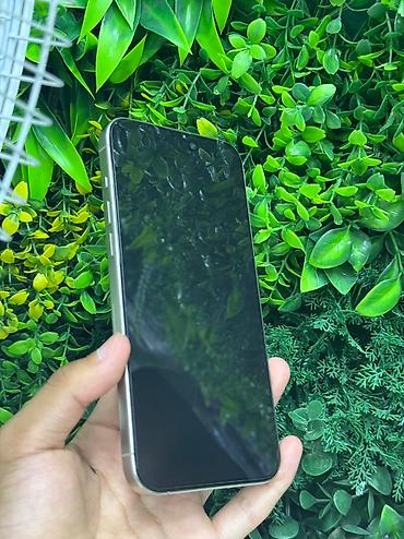 Apple iPhone: IPhone 15 Pro Max, Б/у, 256 ГБ, Natural Titanium, Кабель, Зарядное устройство, Защитное стекло, 100 % — 9