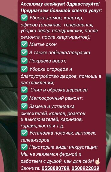 дом долгосрочная аренда: Аймактарды жыйнап тазалоо, Бак-дарактарга кам көрүү, Уборка двора и сада