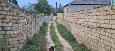 Torpaq sahələrinin satışı: Kupça (Çıxarış) — 9