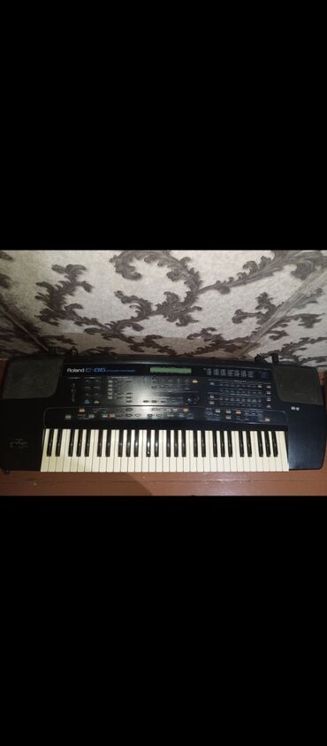 tqdk математика 6 класс ответы: Синтезатор, Roland