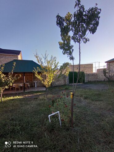 Bağ evlərinin kirayəsi: 120 kv. m, 4 otaqlı, Hovuzlu, Artezian quyusu, İnternet, Telefon — 2