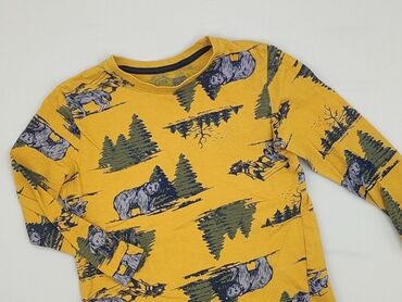 podkoszulki allegro: Koszulka, Little kids, 7 lat, 116-122 cm, stan - Bardzo dobry